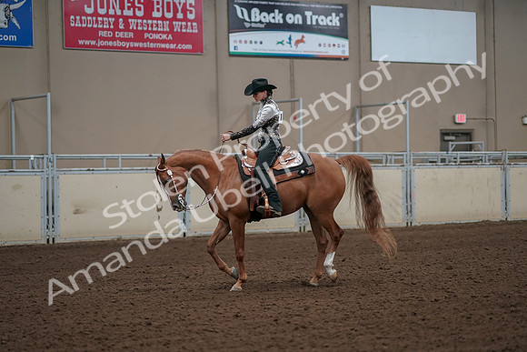 2019 Morgan Horse Show - Aug 30, 2019 - 26048