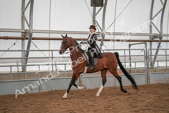 July 19, 2019 - 4221