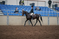 2019 Morgan Horse Show - Sept 01, 2019 - 09004