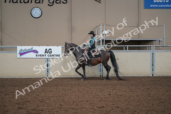 2019 Morgan Horse Show - Aug 30, 2019 - 25976