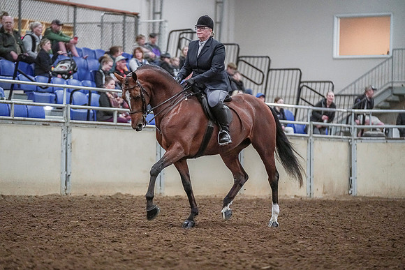Spring Fling - Saturday - April 20, 2019  -  03740