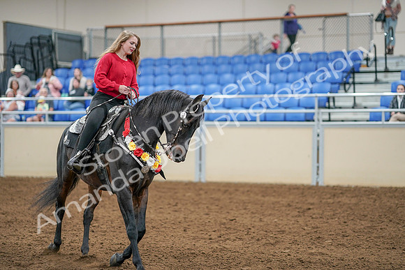 2020 - AB Morgan Horse - Sat, Sept 05 - 10440