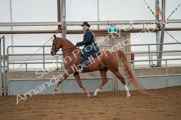 July 20, 2019 - 02102