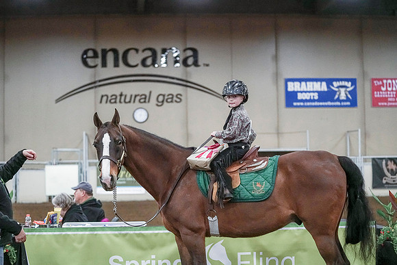 Spring Fling - Saturday - April 20, 2019  -  00190