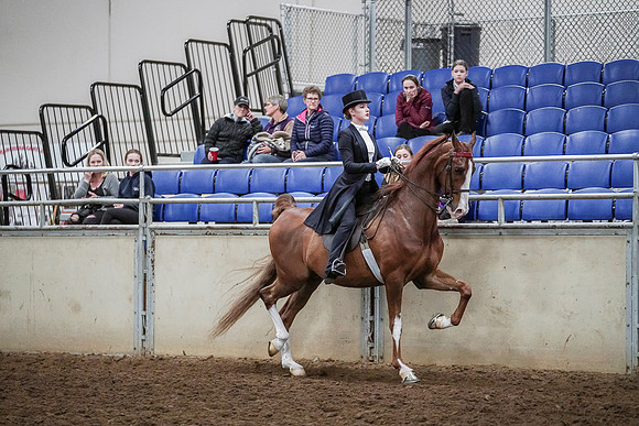 Spring Fling - Saturday - April 20, 2019  -  04387