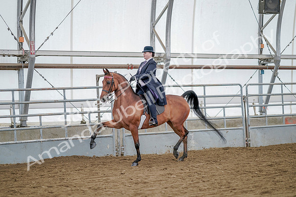 July 20, 2019 - 13682