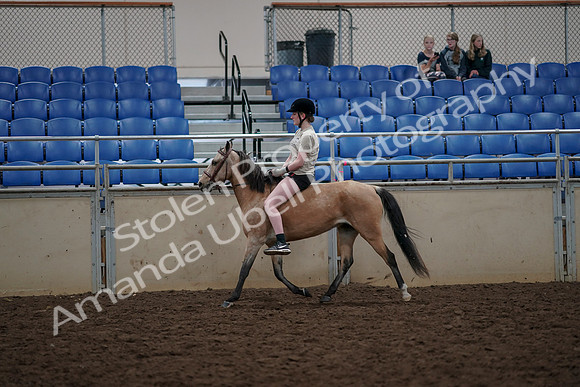 2019 Morgan Horse Show - Aug 30, 2019 - 31076
