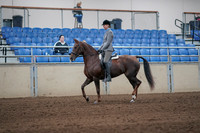 2019 Morgan Horse Show - Sept 01, 2019 - 06224