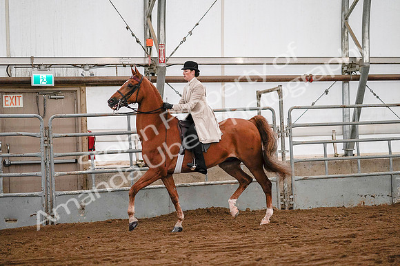July 19, 2019 - 9028