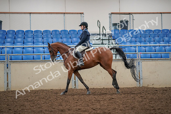 2019 Morgan Horse Show - Aug 30, 2019 - 22362