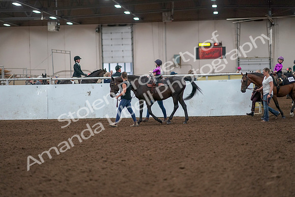 2019 Morgan Horse Show - Aug 31, 2019 - 18886