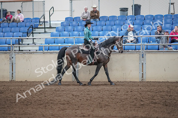 2019 Morgan Horse Show - Sept 01, 2019 - 07113