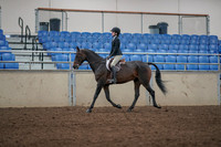 2019 Morgan Horse Show - Aug 31, 2019 - 06304