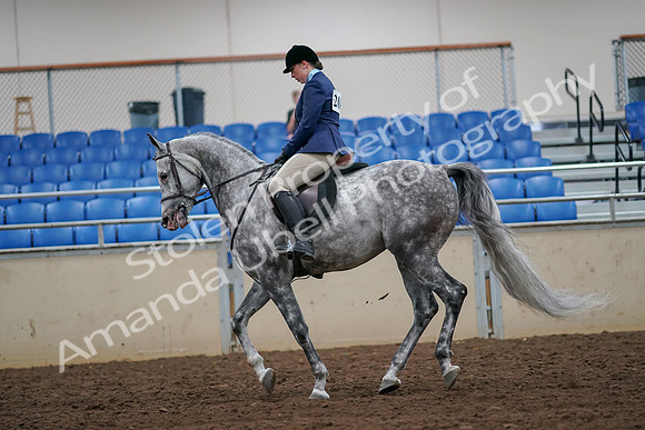 2019 Morgan Horse Show - Aug 30, 2019 - 16380