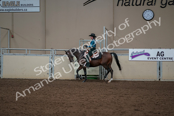 2019 Morgan Horse Show - Aug 30, 2019 - 26039