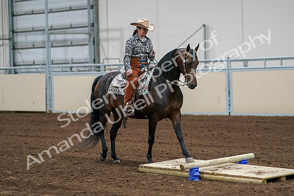 2020 - AB Morgan Horse - Fri, Sept 04 - 00310