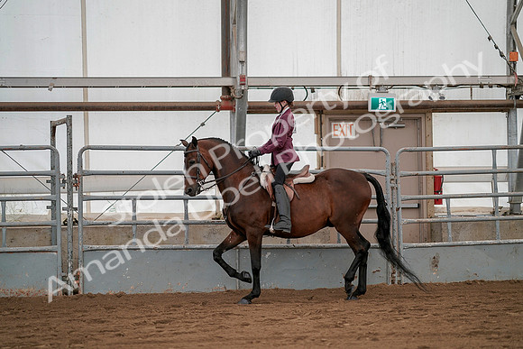 July 19, 2019 - 2381