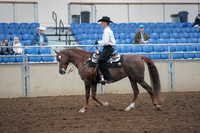 2019 Morgan Horse Show - Aug 31, 2019 - 14119