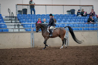 2019 Morgan Horse Show - Aug 31, 2019 - 15857