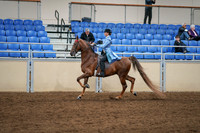 2020 - AB Morgan Horse - Sat, Sept 05 - 03314