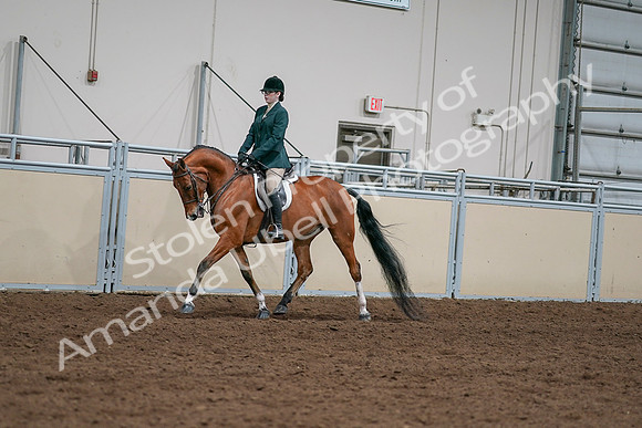 2020 - AB Morgan Horse - Sat, Sept 05 - 05006