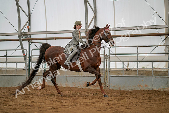 July 19, 2019 - 4120