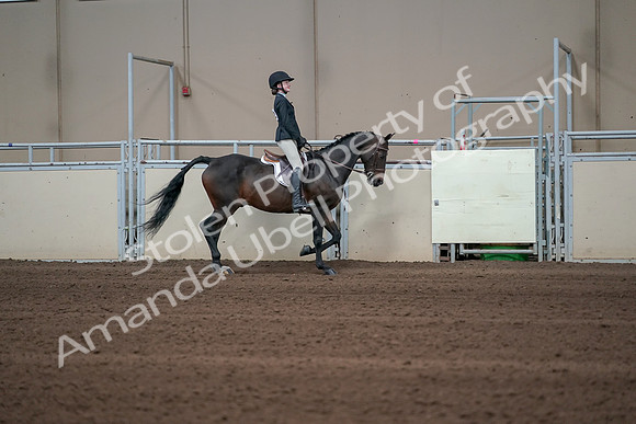 2019 Morgan Horse Show - Sept 01, 2019 - 03798