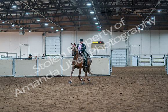 2021 - Alberta Charity Horse Show - Fri, July 09 - 14779