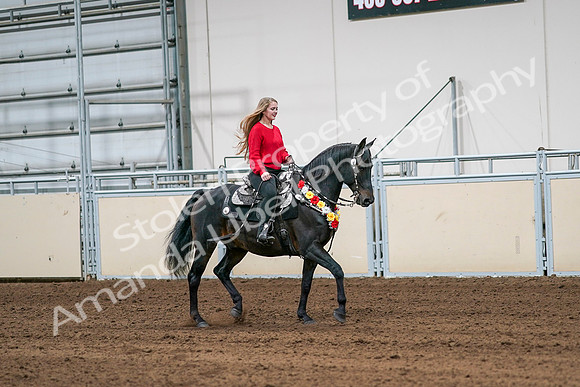 2020 - AB Morgan Horse - Sat, Sept 05 - 10466