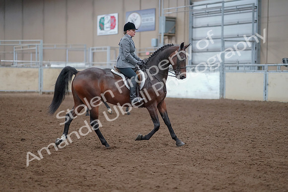 2019 Morgan Horse Show - Aug 30, 2019 - 20672