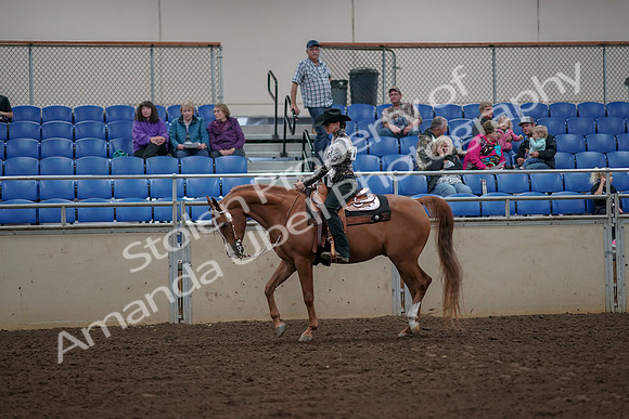2019 Morgan Horse Show - Aug 30, 2019 - 26010