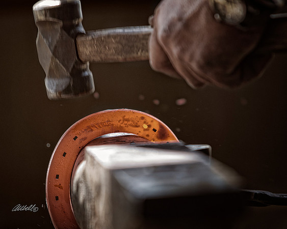 Farrier - 039