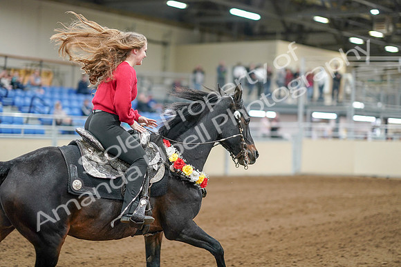 2020 - AB Morgan Horse - Sat, Sept 05 - 10583
