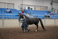 2019 Morgan Horse Show - Aug 31, 2019 - 02113