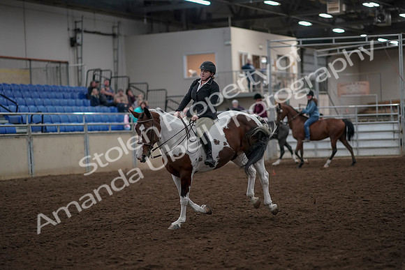 2019 Morgan Horse Show - Aug 30, 2019 - 31276