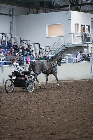 Spring Fling - Saturday - April 20, 2019  -  00259