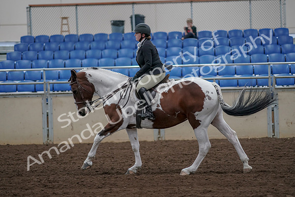 2019 Morgan Horse Show - Aug 30, 2019 - 14963