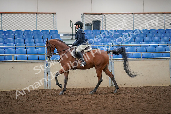 2019 Morgan Horse Show - Aug 30, 2019 - 22358