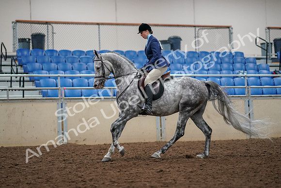 2019 Morgan Horse Show - Aug 30, 2019 - 22345