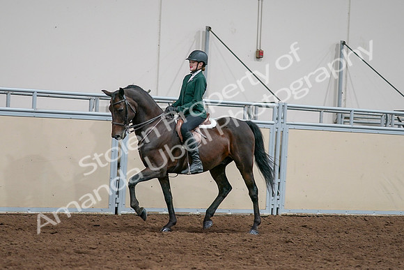 2020 - AB Morgan Horse - Sat, Sept 05 - 05039