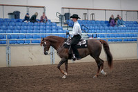 2019 Morgan Horse Show - Aug 31, 2019 - 14107