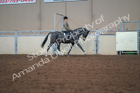 2019 Morgan Horse Show - Aug 30, 2019 - 20712