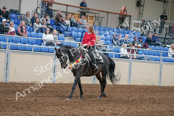 2020 - AB Morgan Horse - Sat, Sept 05 - 10449