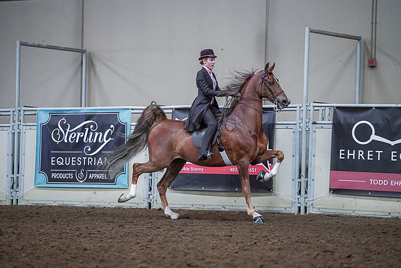 Spring Fling - Saturday - April 20, 2019  -  00550