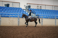 2019 Morgan Horse Show - Aug 30, 2019 - 12135