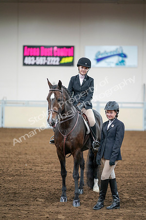 2020 - AB Morgan Horse - Fri, Sept 04 - 02201