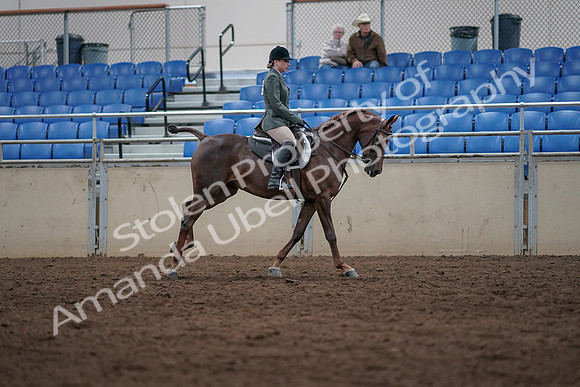 2019 Morgan Horse Show - Sept 01, 2019 - 08773