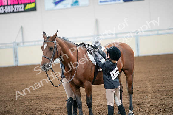 2020 - AB Morgan Horse - Fri, Sept 04 - 02085