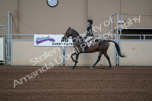 2019 Morgan Horse Show - Sept 01, 2019 - 03782