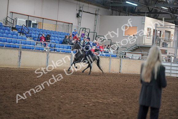 2019 Morgan Horse Show - Aug 30, 2019 - 12314